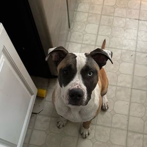 Meet your Posher, Dre